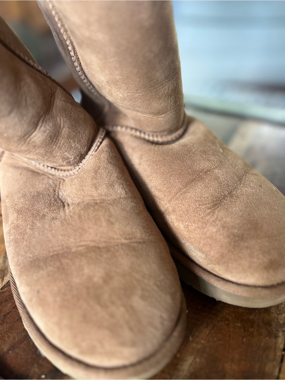 UGG Women's Chestnut Suede Short Boots